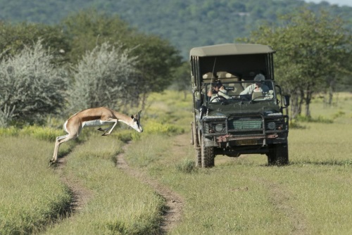 Ongava Lodge omgeving